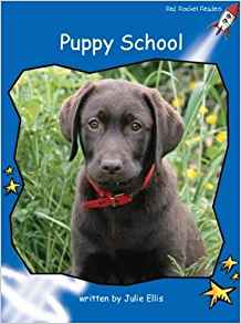 Puppy School (Red Rocket Readers)