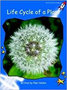 Life Cycle of a Plant (Red Rocket Readers)