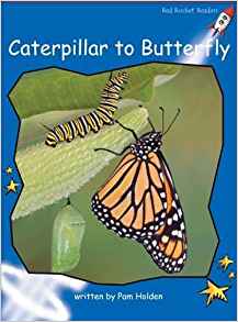 Caterpillar to Butterfly (Red Rocket Readers)