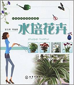 水培花卉