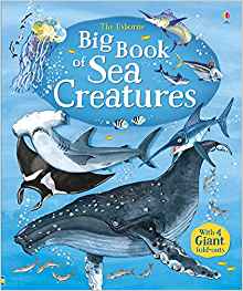 Big Book of Sea Creatures (Big Books Series)