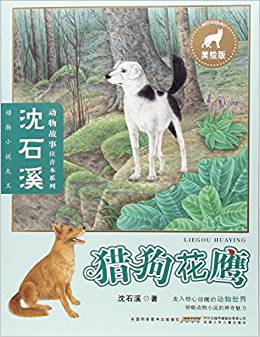 獵狗花鷹(美繪版)/沈石溪動物故事注音本系列