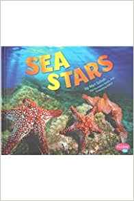 Sea Stars (Sea Life)