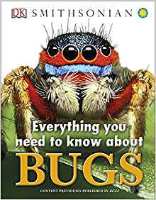 Everything You Need to Know About Bugs