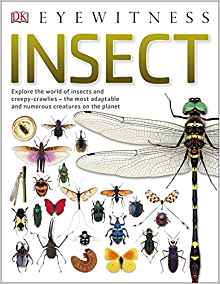 Insect: Explore the world of insects and creepy-crawlies - the most adaptable and numerous creatures on the planet (Eyewitness)