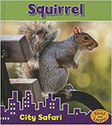 Squirrel: City Safari