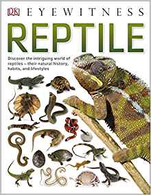 Reptile (Eyewitness)