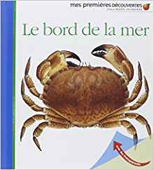 Le bord de la mer (French Edition)