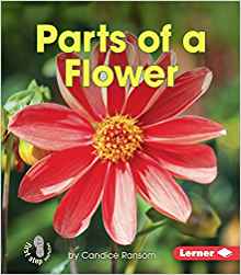 Parts of a Flower (First Step Nonfiction) (First Step Nonfiction - Pollination)