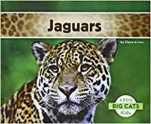 Jaguars (Big Cats)