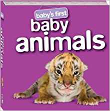 Baby Animals (Baby's First Padded: S3)