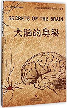 大腦的奧秘
