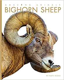 Bighorn Sheep (Amazing Animals)