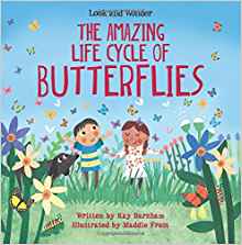 The Amazing Life Cycle of Butterflies (Look and Wonder)