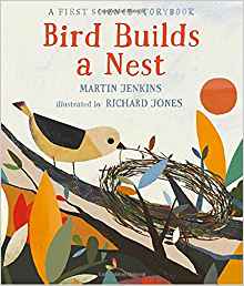 Bird Builds a Nest: A First Science Storybook