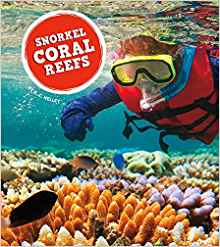 Snorkel Coral Reefs (Amazing Adventures)