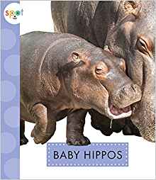 Baby Hippos (Spot)