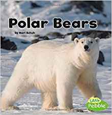 Polar Bears (Black and White Animals)