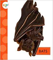 Bats (Spot Backyard Animals)