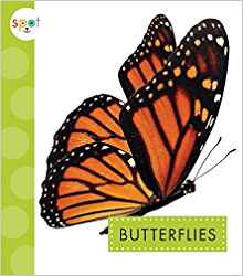 Butterflies (Spot Creepy Crawlies)