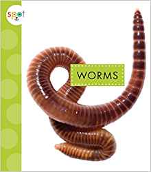 Worms (Spot Creepy Crawlies)