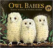 Owl Babies