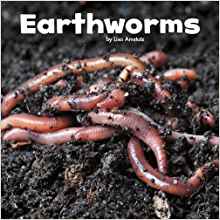 Earthworms (Little Pebble: Little Creatures)