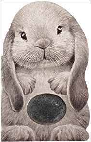 Furry Bunny (Mini Friends Touch & Feel)