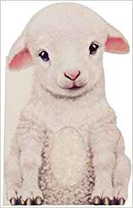 Furry Lamb (Mini Friends Touch & Feel)