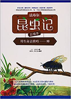 用生命去歌唱--蟬(彩繪注音)/法布爾昆蟲記彩繪本