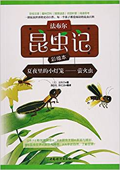 法布爾昆蟲記彩繪本: 夏夜里的小燈籠--螢火蟲(彩繪注音)