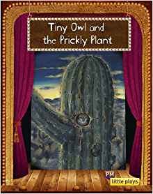 Little Play: Tiny Owl and the Prickly Plant