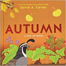 Autumn: A Pop-Up Book (Seasons Pop-up)