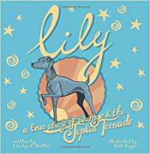 Lily: A True Story of Courage and the Joplin Tornado