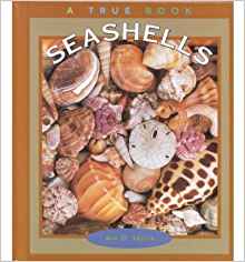 Seashells (True Books: Earth Science)