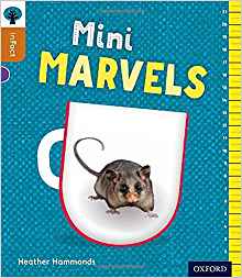 Oxford Reading Tree Infact: Level 8: Mini Marvels