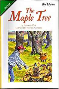 The Maple Tree