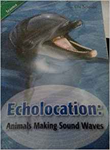 Echolocation: Animals Making Sound Waves