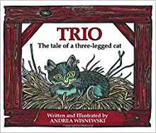 Trio: The Tale of a Three-legged Cat