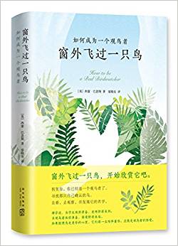 窗外飛過一只鳥 : 如何成為一個(gè)觀鳥者