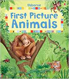 First Picture Animals (First Picture Books)