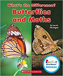 Butterflies and Moths (Rookie Read-about Science: What's the Difference?)