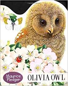 Olivia Owl Board Book