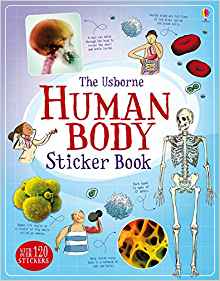 Human Body Sticker Book (Information Sticker Books)