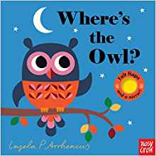 Where's the Owl?