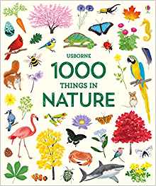 1000 Things in Nature (1000 Pictures)