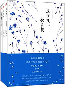 丁立梅經(jīng)典散文集(套裝共3冊(cè))