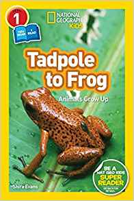 National Geographic Readers: Tadpole to Frog (L1/Co-reader)