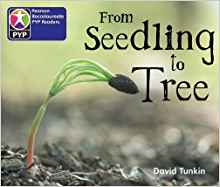 From Seedling to Tree single