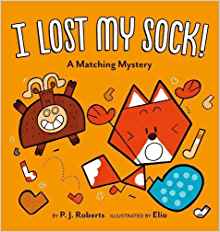 I Lost My Sock!: A Matching Mystery